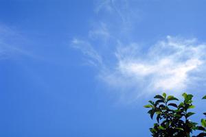 静岡県浜松市の家族葬専門斎場｜家族葬のタクセル佐鳴台の特徴と詳細情報