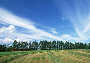 静岡で信頼の葬儀サービスを提供する富士葬祭静岡の全て?安心の祭典とサポート体制