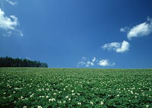 静岡市葵区に新規オープンした家族葬専門斎場【家族葬のタクセル長沼】の魅力と詳細情報