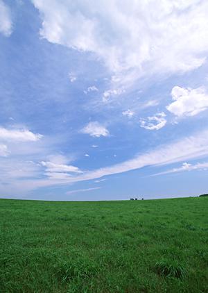 海泉寺にある永代供養付きの納骨堂の特徴