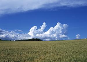 静岡県焼津市にある富士葬祭焼津:家族葬・一般葬に最適な斎場と葬儀サービスの詳細ガイド