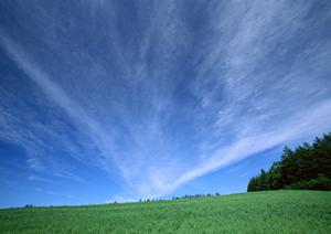 永代供養をしてくれる由緒正しい寺院