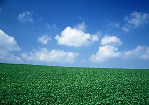 アフターサービスも充実している