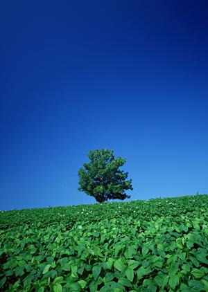 【公式】さがみ典礼 宇都宮御苑｜栃木県宇都宮市の信頼の葬儀場と総合葬祭サービス