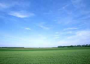 磐田市で信頼の葬儀サービス【富士葬祭 中泉】 ? 家族葬・一日葬・火葬式に対応