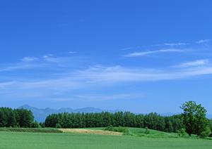 静岡県藤枝市で信頼できる葬儀サービス:富士葬祭藤枝の詳細と特徴