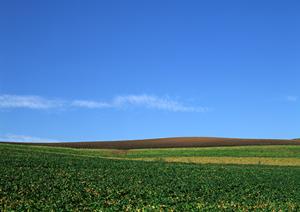 鹿児島で最後の別れを行うコツとは