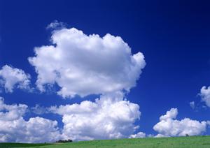 愛するペットとの別れを心温まる葬儀で　安心できるペット葬式の選び方ガイド