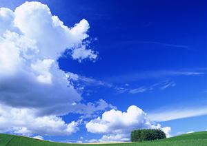 静岡県浜松市の家族葬に最適な斎場【家族葬のタクセル葵西】詳細ガイド