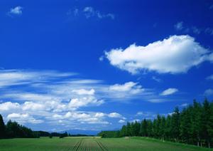 静岡市清水区の家族葬と葬儀場【富士葬祭 双樹】で安心の葬儀サービスを提供