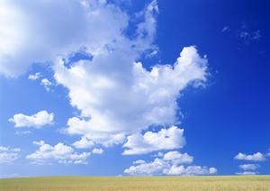 八王子で希望の形式が選べる永代供養をお探しなら