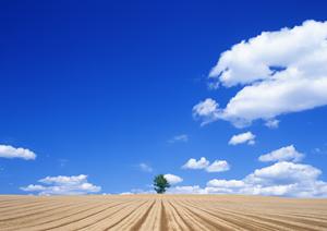 那覇市内での葬儀をお考えの方は