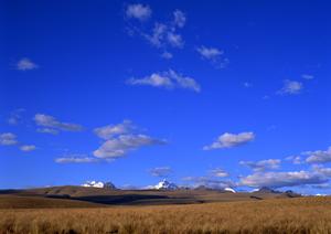 静岡県の家族葬・火葬・斎場情報｜低価格で安心の葬儀サービス【家族葬のタクセル】