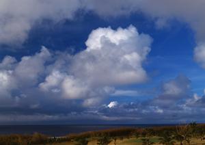 大阪など関西での墓じまいをするなら