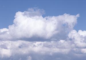 葛飾区近くの永代供養墓のサイトの紹介