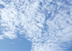 永代供養で手頃に墓石が使える霊園