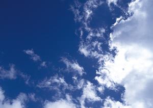 東京・台東区にある浄土真宗の屋内墓所