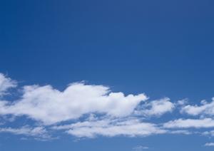 家族葬を行ってくれる会社である