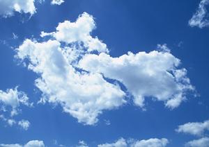 東京の東長寺で永代供養の申し込みを