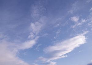 静岡市で安心・信頼の葬儀サービス【富士葬祭 聖一色】の全貌と特徴