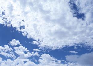 御朱印にも対応している静岡のお寺は