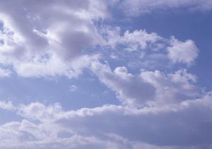 仙台の近くで樹木葬ができる霊園の紹介