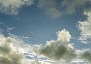 個別のペット火葬ができるサービス