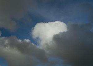 都筑区で信頼できる葬儀サービスを徹底解説！2025年最新ガイド