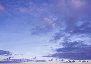 地元徳島で創業50年の歴史を持つ葬儀社