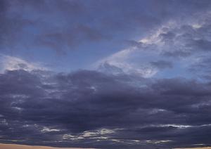 大阪で樹木葬ができる霊園を探そう